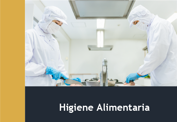 Higiene Alimentaria (30h)