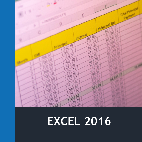 Excel 2016 (30h)