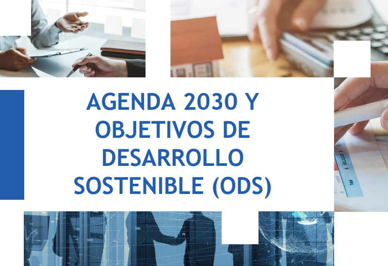 Agenda 2030 y Objetivos de Desarrollo Sostenible (ODS) (30h)