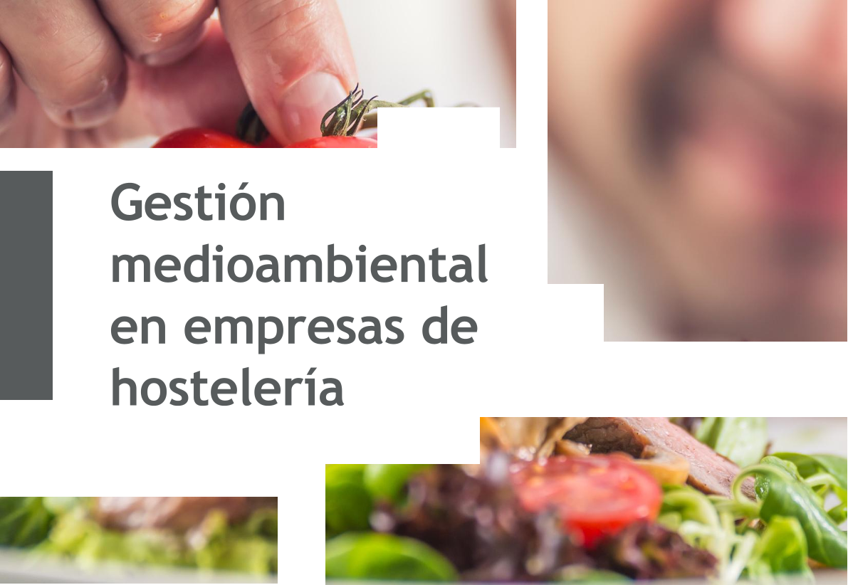 Gestión Medioambiental