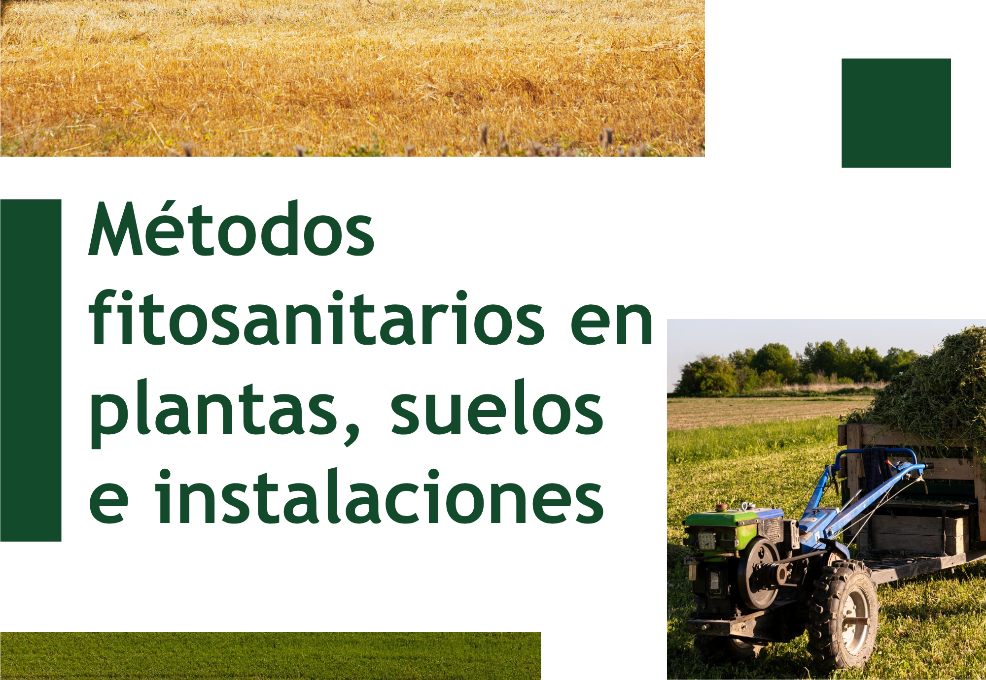 Aplicación de Métodos de Control Fitosanitarios en Plantas, Suelo e Instalaciones