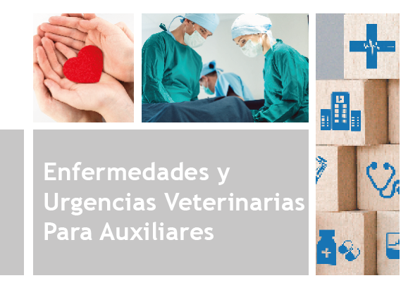 Enfermedades y Urgencias Veterinarias para Auxiliares