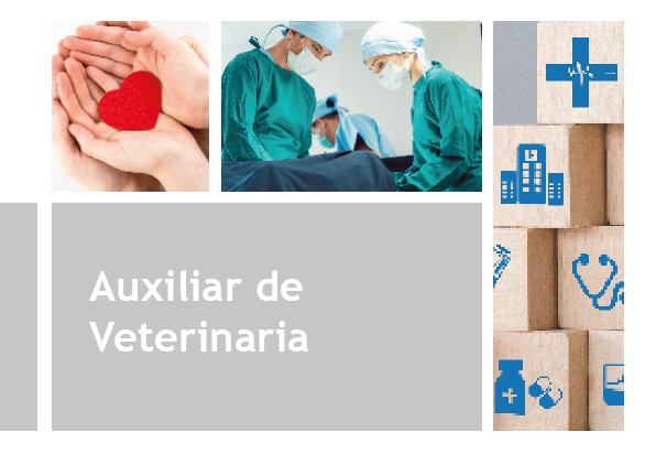 Auxiliar de Veterinaria
