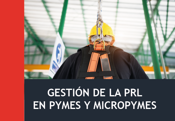 Gestión de la PRL en Pymes y Micropymes (30h)